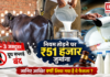 Haryana Milk Strike : हरियाणा में 1 से 3 अक्टूबर तक दूध सप्लाई बंद, नियम तोड़ने पर ₹51 हजार जुर्माना, जानिए आखिर क्यों लिया गया है ये फैसला ? Haryana Milk Strike