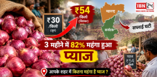 Onion Prices Rise 82%