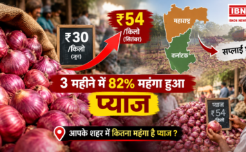 Onion Prices Rise 82%