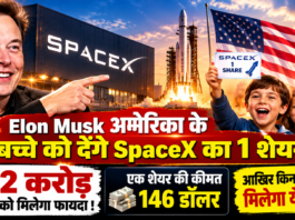 Elon Musk SpaceX Shares